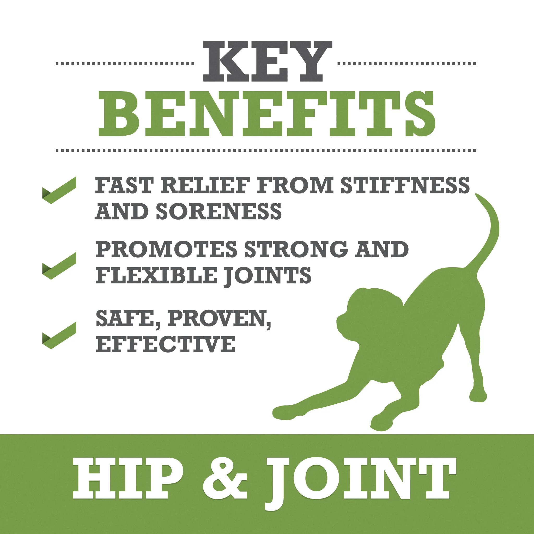 Hip & Joint 6-Pack