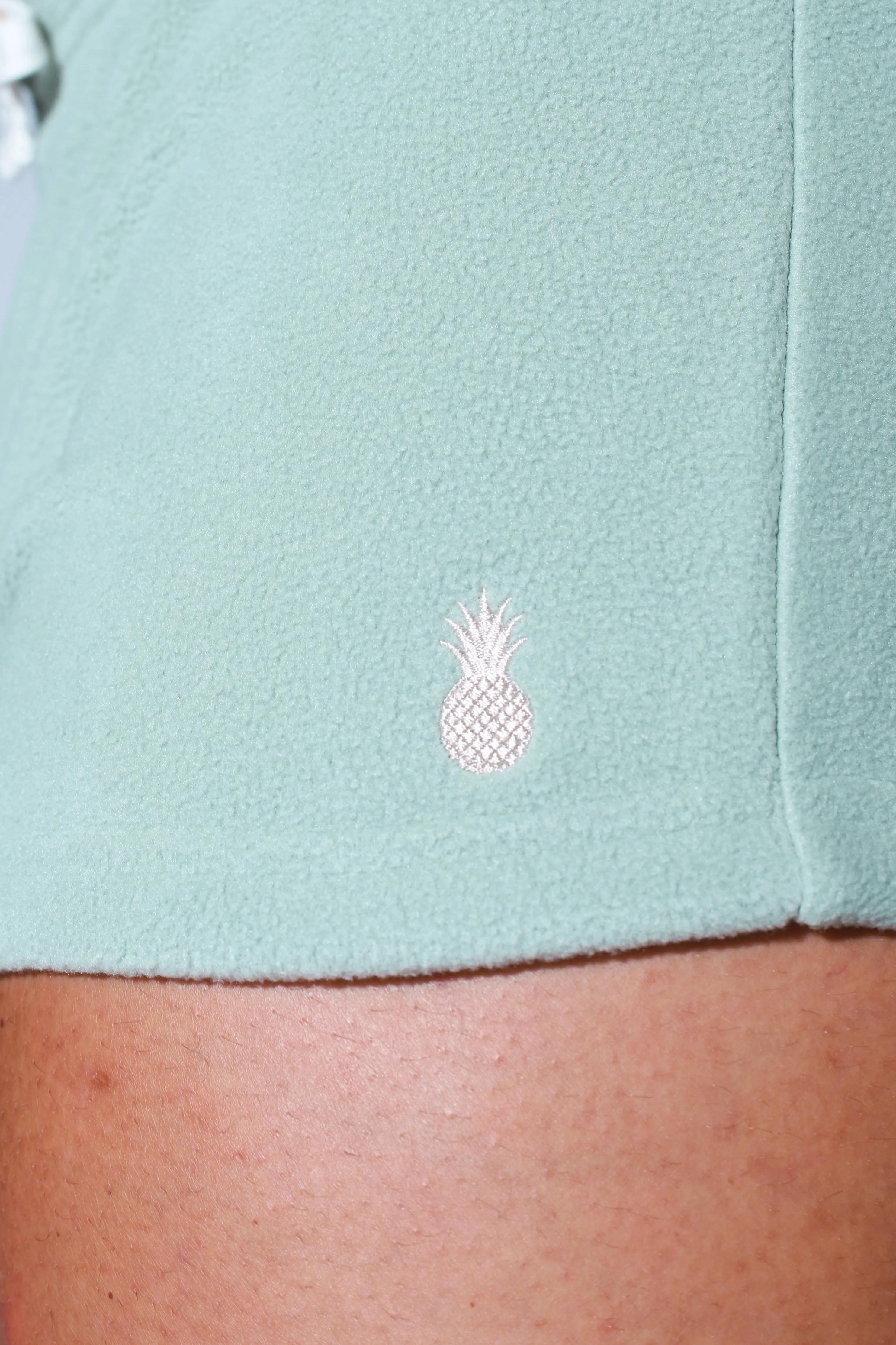 Luxe Plush Fleece 2" Short Shorts - Light Pistachio